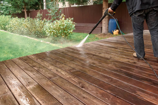 Best Driveway Pressure Washing  in Cridersville, OH